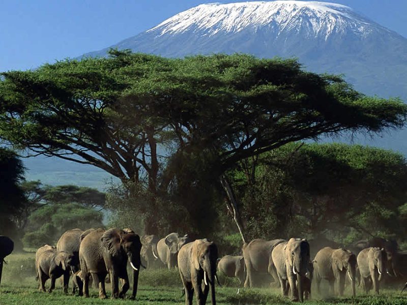 6-Reasons-to-visit-Amboseli-national-park